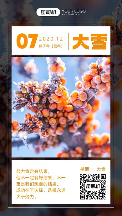 二十四节气大雪摄影图手机海报