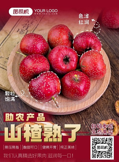 助农产品山楂熟了印刷海报