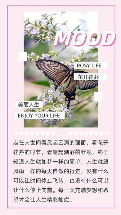 文艺清新心情情绪文章配图