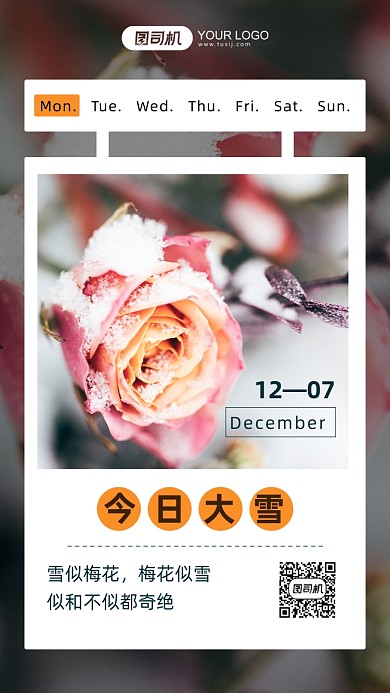 二十四节气大雪文艺摄影图手机海报