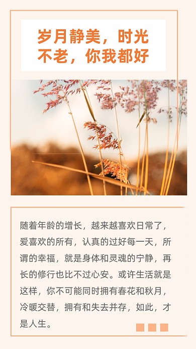 文艺清新岁月静好文章配图