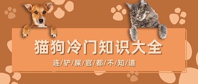 简约卡通宠物健康知识公众号首图