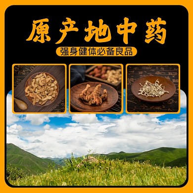 原产地中药淘宝主图直通车模板