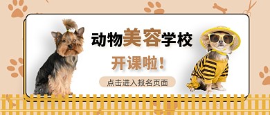 简约卡通宠物健康知识公众号首图
