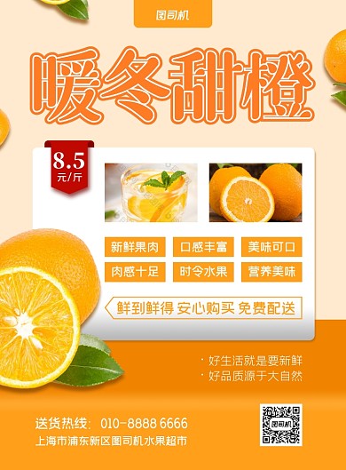 当季水果暖冬甜橙印刷海报