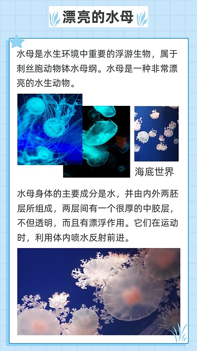 文艺清新海底世界文章配图
