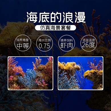 海景珊瑚造景淘宝主图直通车模板