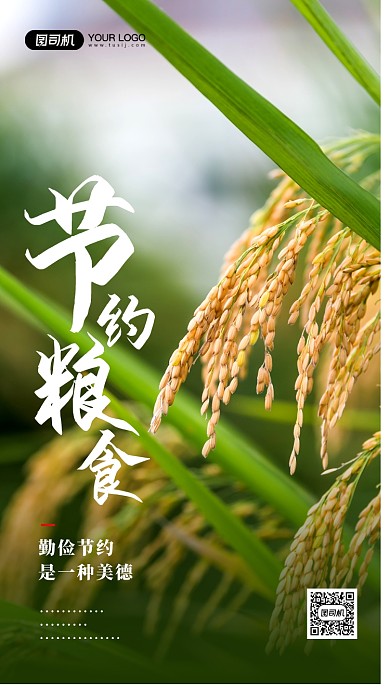 节约粮食简约摄影图公益宣传海报