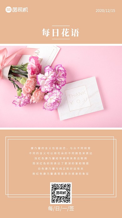 康乃馨每日花语手机海报