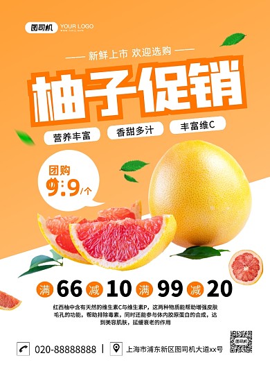 柚子促销创意简约宣传印刷海报