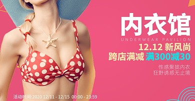 超薄文胸聚拢性感内衣双十二海报