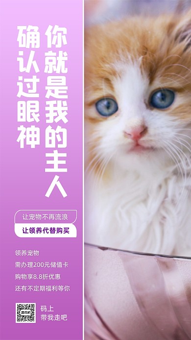 宠物店领养宣传摄影风手机海报