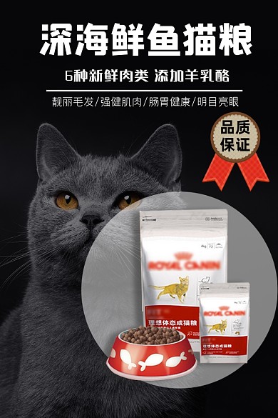 宠物猫粮类淘宝直通车活动主图