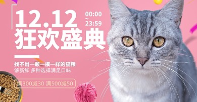 双十二猫粮促销休闲零食海报