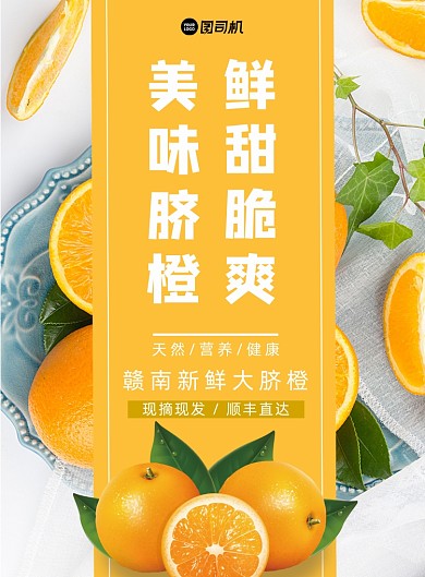 橙子当季水果新鲜脐橙宣传印刷海报