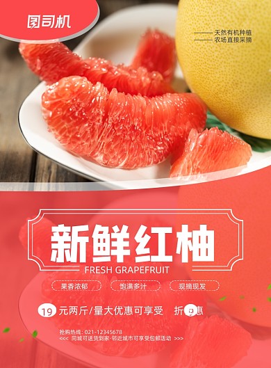 柚子时令水果鲜果促销印刷海报