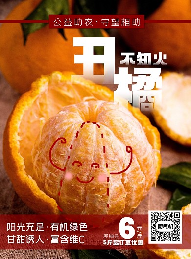 丑橘农产品印刷海报