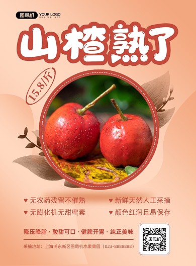 当季水果山楂熟了印刷海报