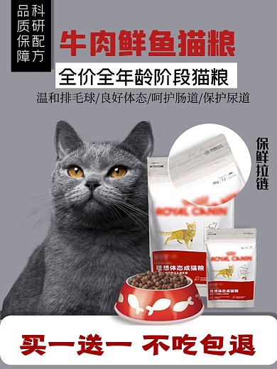 宠物猫粮类淘宝直通车活动主图