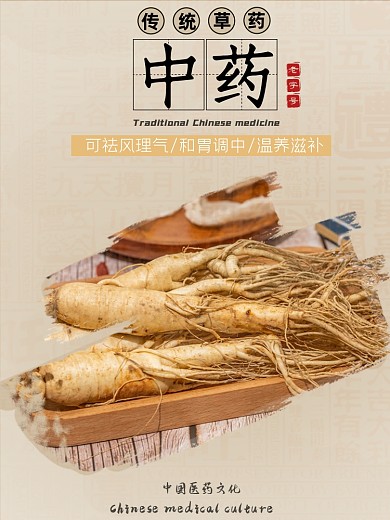 中药温补类淘宝直通车人参主图