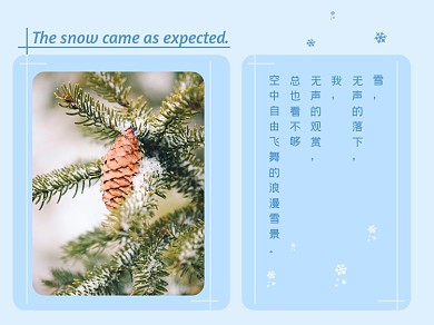 冬天下雪了雪后松树松果横版配图