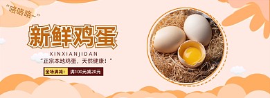 电商新鲜鸡蛋促销海报