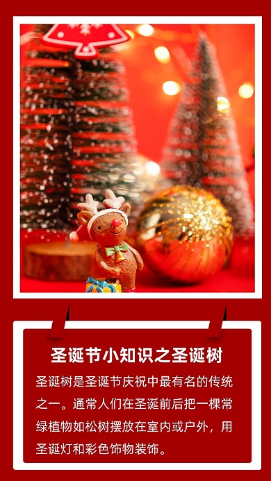 红色圣诞节小知识之圣诞树文章配图