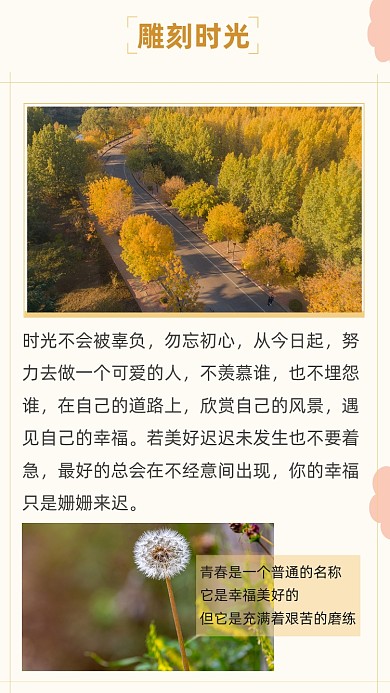 文艺清新雕刻时光文章配图