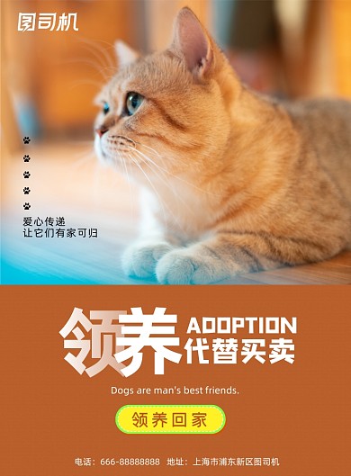 领养橙色简约宠物公益活动宣传海报