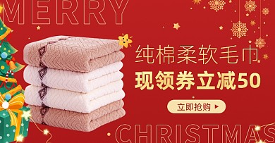 圣诞节日用毛巾领券优惠抢购