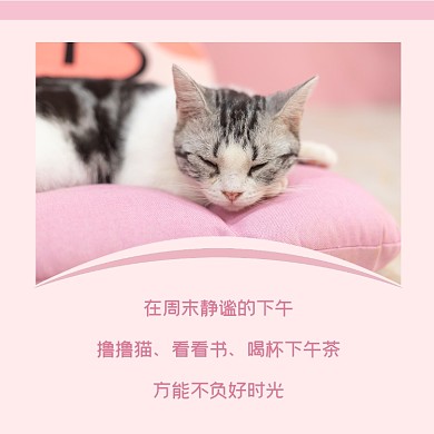 冬日午后时光撸猫简约方形配图