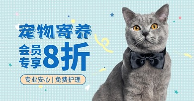 宠物猫咪寄养8折起
