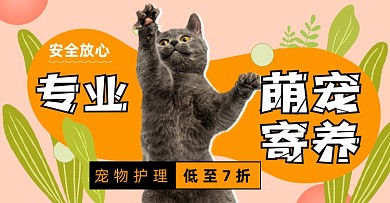 专业萌宠寄养7折购海报