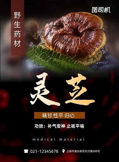 中药黑色简约灵芝野生药材功效印刷海报