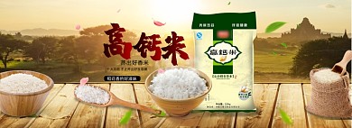 简约清新家居风格大米海报