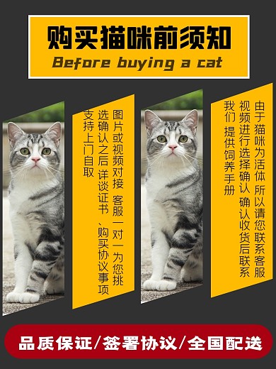 宠物猫舍犬舍类淘宝直通车活动主图