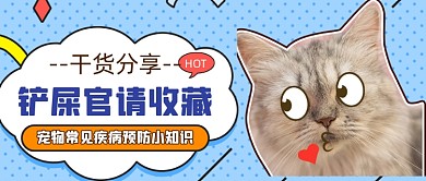卡通简约宠物知识新媒体首图