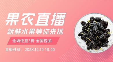 果农直播水果促销广告banner