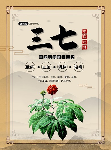 中药三七中国风功效简介印刷海报