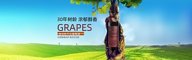 大气创意红酒葡萄酒淘宝海报