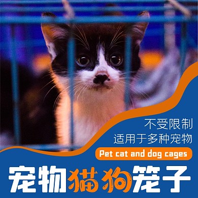 猫狗笼子宠物淘宝主图直通车模板