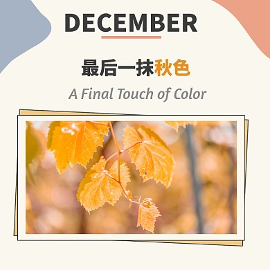 最后一抹秋色十二月方形配图
