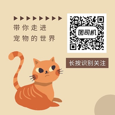 宠物世界可爱插画方形二维码