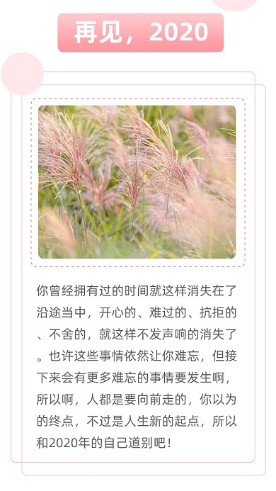 粉色简约再见2020年回首文章配图