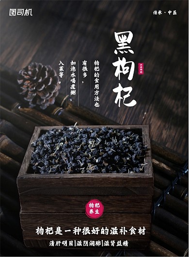黑枸杞中药野生食补功效宣传印刷海报
