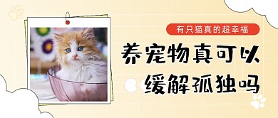 养宠物缓解孤独实景公众号首图
