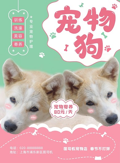 宠物狗春节寄养宠物店写实印刷海报