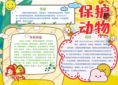 保护动物小报手抄报