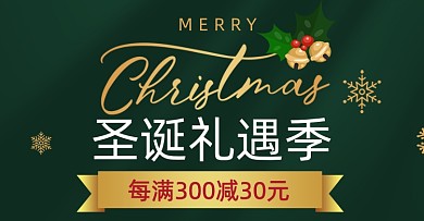 圣诞礼遇季店铺促销活动海报
