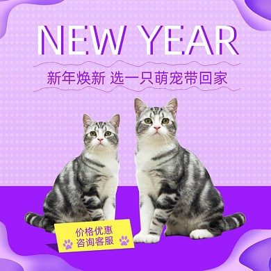 2021新年焕新宠物卡通风猫咪领养主图直通车